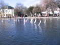 /album/varosliget-03-03-/varosliget-03-03-064-jpg/